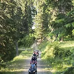 Mountain 5* Ilgaz