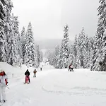 Mountain Ilgaz