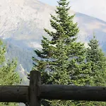 Mountain 5* Ilgaz