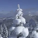 Mountain Ośrodek wypoczynkowy Ilgaz
