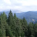 Mountain 5* Ilgaz