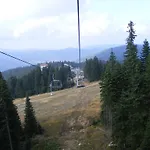 Mountain 5*