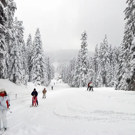 Mountain Ilgaz
