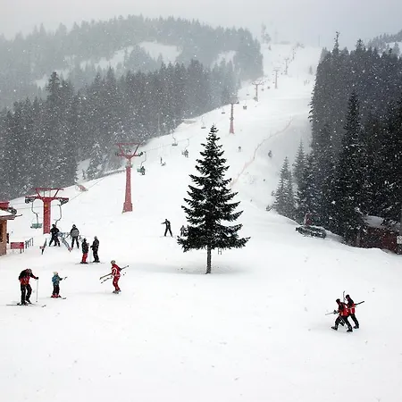 Station touristique Mountain 5*