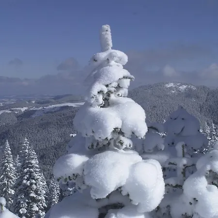 Mountain Resort Ilgaz