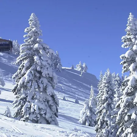 Resort Mountain Ilgaz