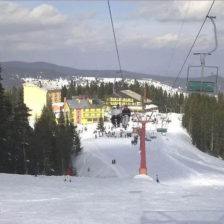 Mountain 4*