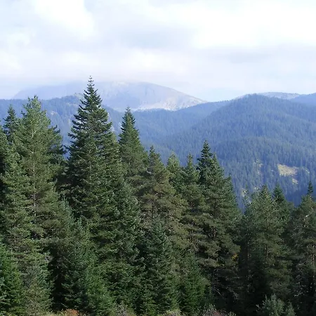 Mountain 4* Ilgaz
