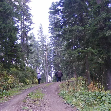 Resort Mountain 4*