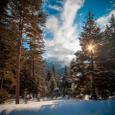 Resort Mountain Ilgaz