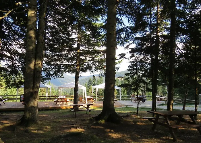 Mountain 리조트 Ilgaz