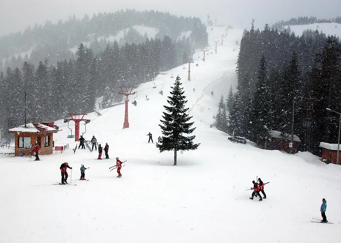 Курортный комплекс Mountain 5*