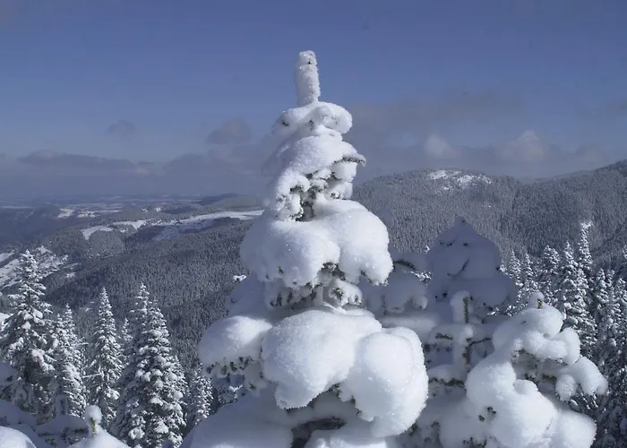 Mountain Resort Ilgaz