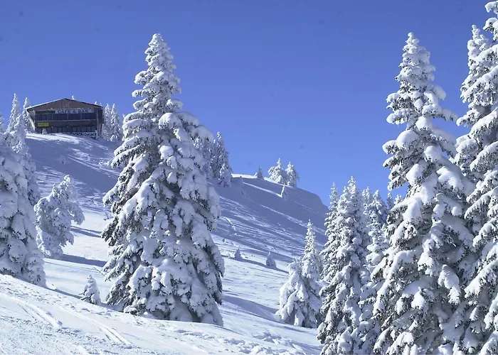 度假村 Mountain Ilgaz