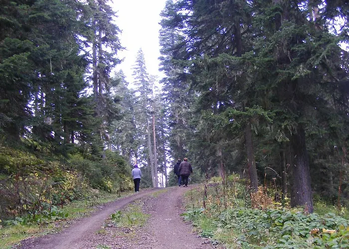 리조트 Mountain 5*