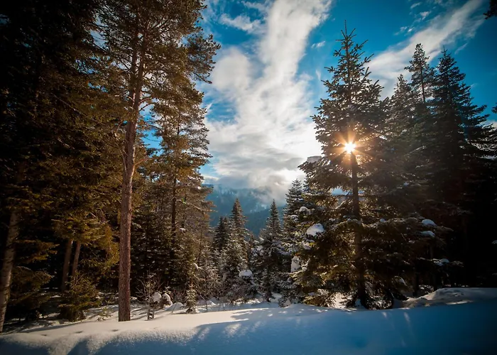 Resort Mountain Ilgaz